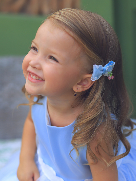 Заколка малая 2 шт Амарена